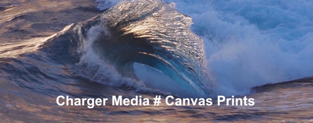CANVASES